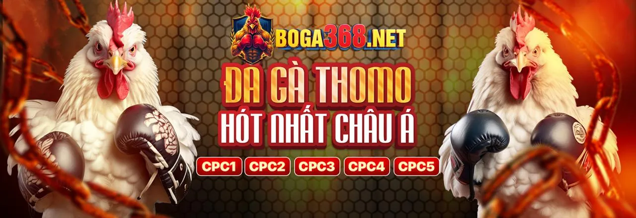 Hình ảnh blog f1686 thể thao, cập nhật tin tức và mẹo cá cược mới nhất