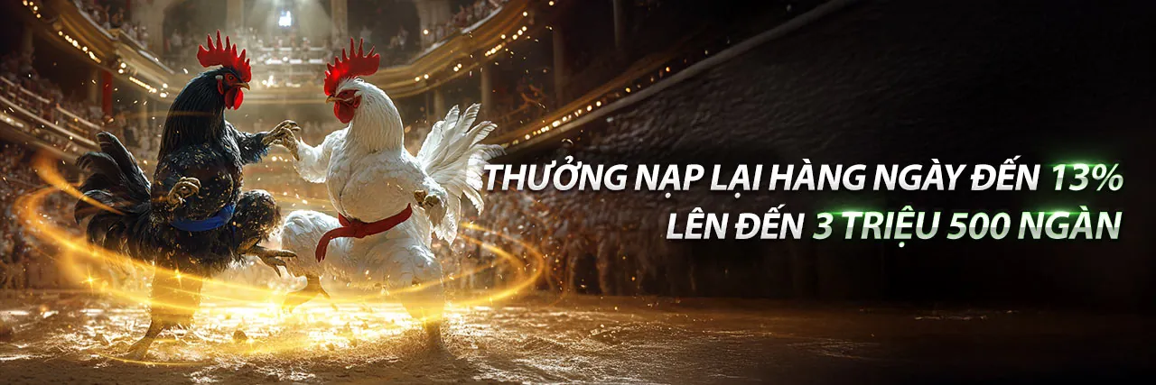 Đấu trường đá gà trực tuyến kịch tính tại f1686 thể thao 2026